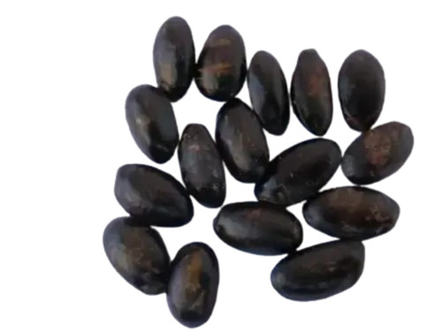 Custard Apple Seeds - 1 Kilogram, 99% Purity, 12 Months Shelf Life | Natural Quality for Plantation Use from Green India