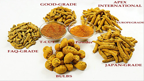 Dry Turmeric - Color: Yellow