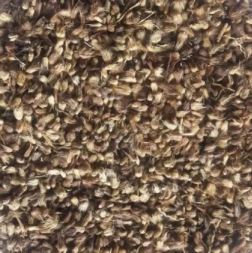 Kusa Gaddi Grass Fodder Seed - 1 Kilogram , Purity: 99%, Shelf Life: 12 Months, Natural for Effective Plantation in Agriculture