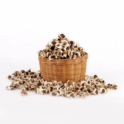 Moringa Drumstick Seeds