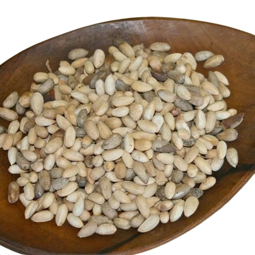 Neem Seeds