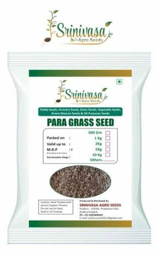 Para Grass Seeds - 1 Kilogram Packet | Purity: 99% Shelf Life: 9 Months Ideal for Agricultural Applications