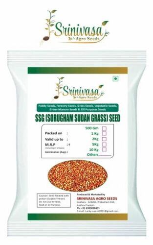 Sorghum Sudan Grass Seeds - 1 Kilogram, Purity: 99% | Good Quality, Packet Packaging, 9 Months Shelf Life, Agriculture Use
