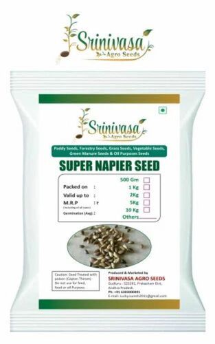 Super Napier Grass Seeds