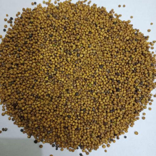 Yellow Mustard Seeds