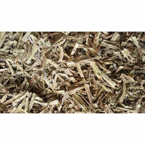 सिस्सस क्वाड्रैंगुलरिस जड़ें