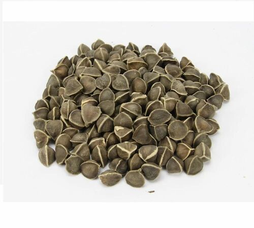 Dry Moringa Seeds