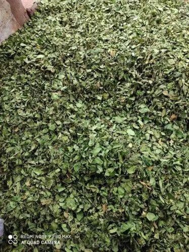 जिम्नेमा सिल्वेस्ट्रे की पत्तियां