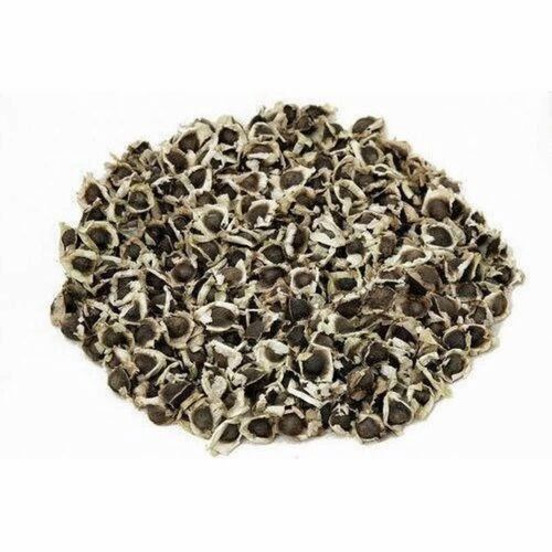 Pkm1 Moringa Seeds