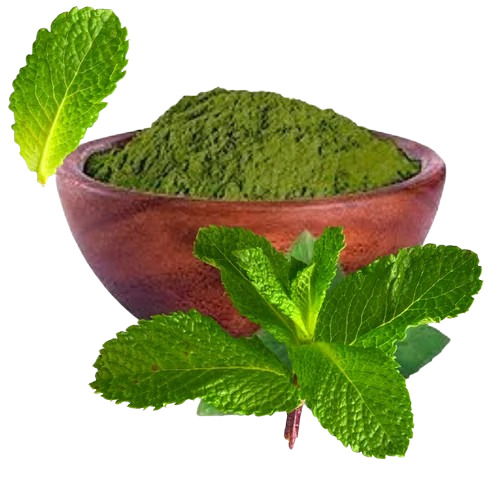 Mint Leaves Powder