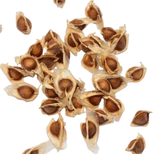 Odc Moringa Seeds