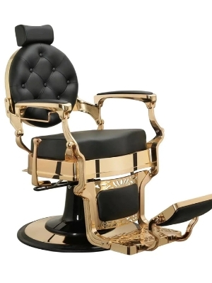 Professional Barber Chair