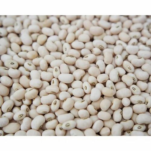 Cowpea Fodder Seeds - Organic, Natural, 1 Kilogram Weight | 100% Purity, Good Packaging in Bag, 12 Months Shelf Life