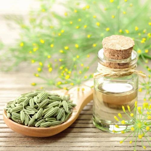 Fennel Seed Carrier Oil