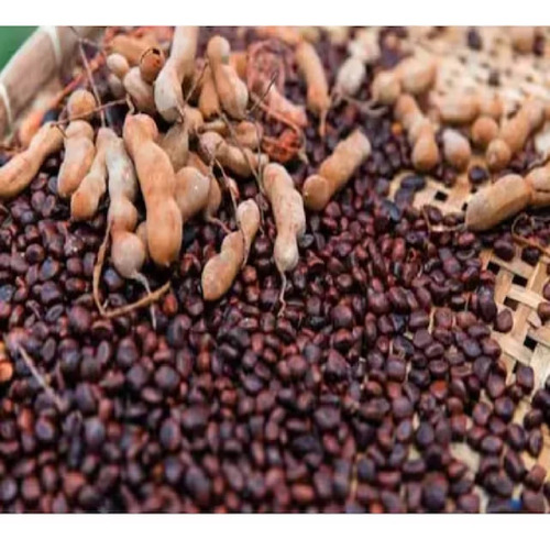 Tamarind Kernel - 100% Pure Grade Standard A, Dark Red Color, Solid Form, Sour Taste, Ideal for Culinary Uses, Store at Room Temperature