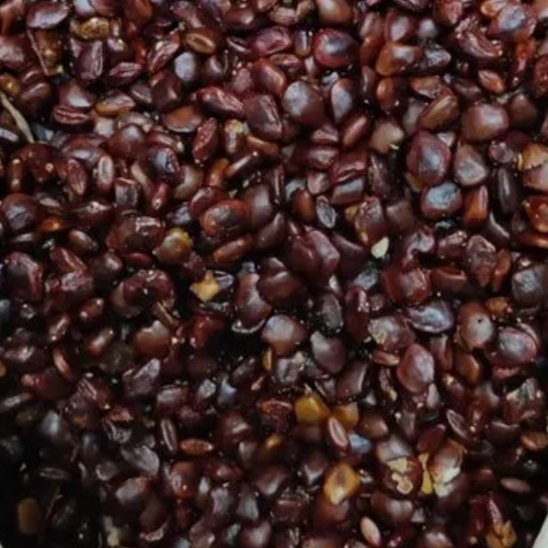 Tamarind Seeds - 100% Natural Dried Brown Seeds | 50kg Bag, Solid Form, 1-Year Shelf Life, Common Use for Food Cultivation, Sour Taste