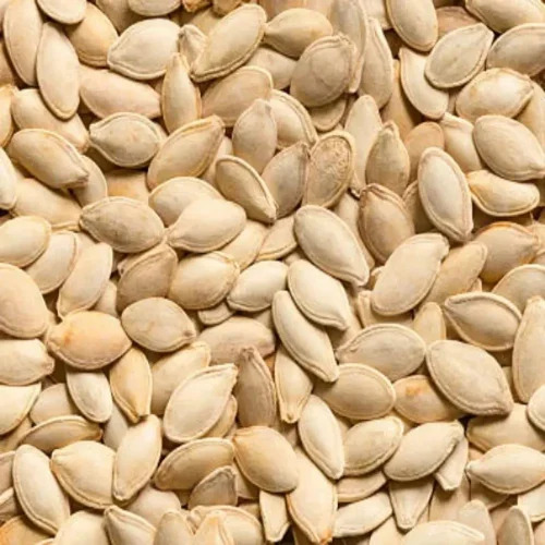 Hybrid Pumpkin Seeds