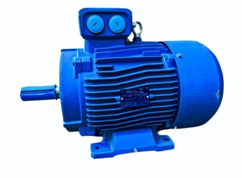 Three Phase Induction Motor - Warranty: 3Yr