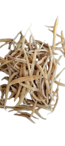 Shatavari Dry Roots - Shatavari Root, 50 kg, Brown | Organic, Natural, Dried, 100% Purity, Packaged in Poly Pack, Store in Dry Place