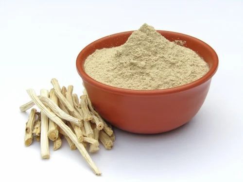 Shatavari Extract Powder