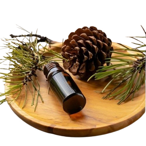 Natural Pine Essential Oil