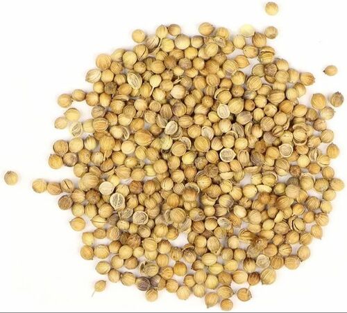 Coriander Dhaniya Seed - Organic Seeds, 25 Kilograms | Brown Color, 100% Purity, Shelf Life: 12 Months, Good Packaging Type: Bag