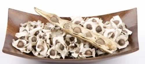 Moringa Seeds With Wings
