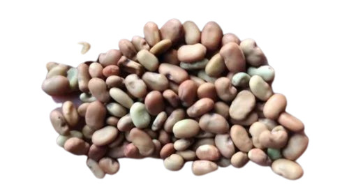 Sesbania Grandiflora Seed - Organic Natural Seeds, 1 Kilogram Packet | 100% Purity, 12 Months Shelf Life, Eco-Friendly Packaging