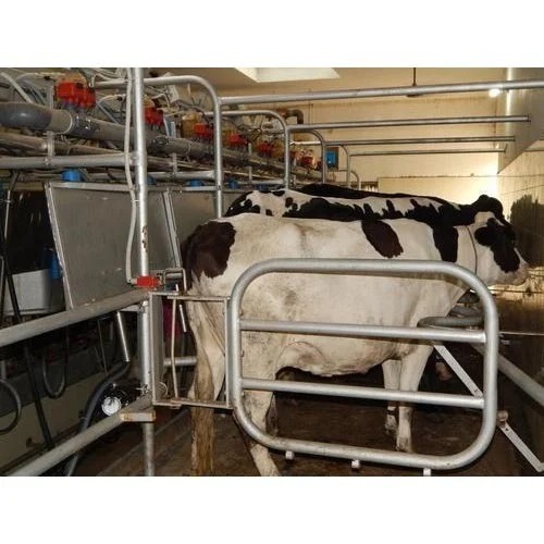 Herringbone Milking Parlour - Material: Aluminum