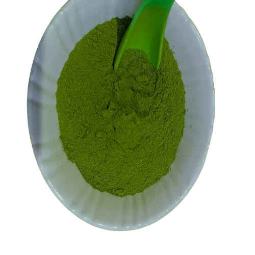 Organic Moringa Leaves Powder - A Grade Green Leaves 12 Months Shelf Life Medicinal Herbal Extract Organic Herbs in Good Quality Packaging