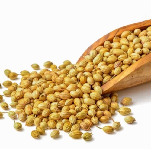 Coriander - Color: Na