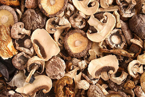 Dried Mushroom - Color: .