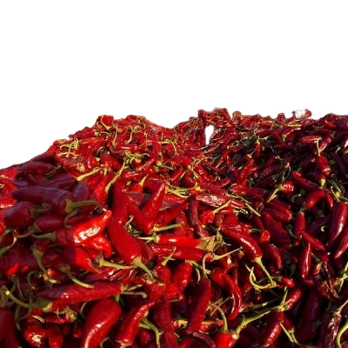 Red Chilli