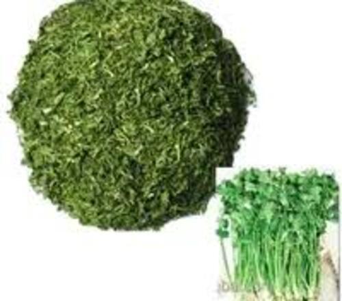 Dehydrated Coriander - Fresh Whole Vegetables Cooking Grade A | Optimum Quality Dried Style Ideal for Culinary Applications
