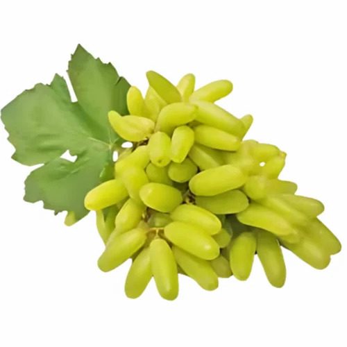 Fresh Grapes - Color: Green