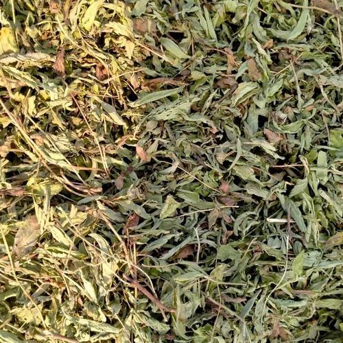 जैविक सूखे स्टेविया पत्ते