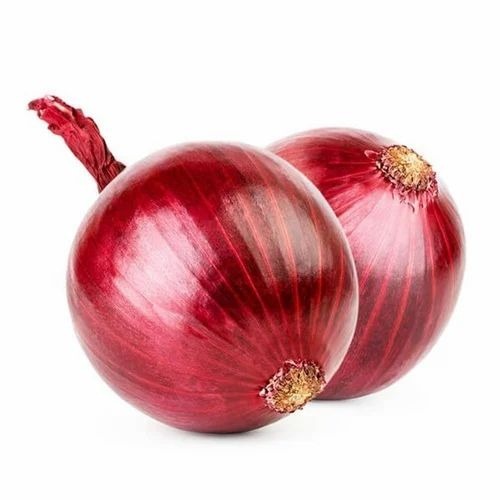 55mm Red Onion