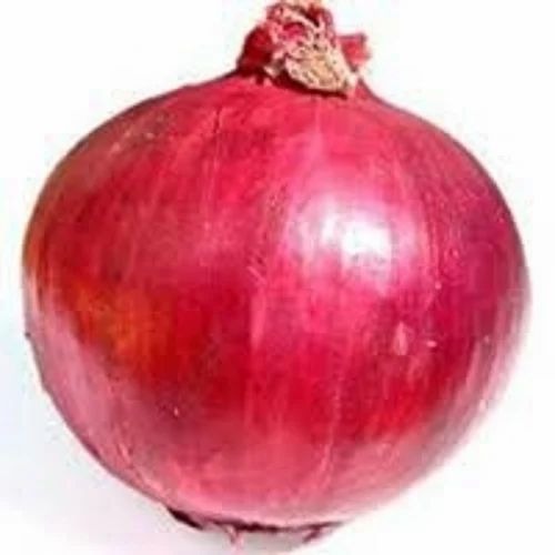 65mm Red Onion