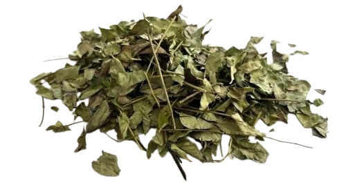 Dried Curry Leaves - A Grade Green Color | Slightly Bitter Pungent and Citrusy Flavor Moisture Content 8% Ideal for Cooking