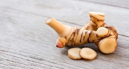 Fresh Galangal Root