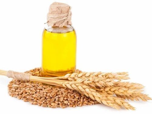 Wheat Gram Oil - Cold Pressed Yellow Oil in Bottle | 100% Pure, 12 Months Shelf Life, Fragrance Compound