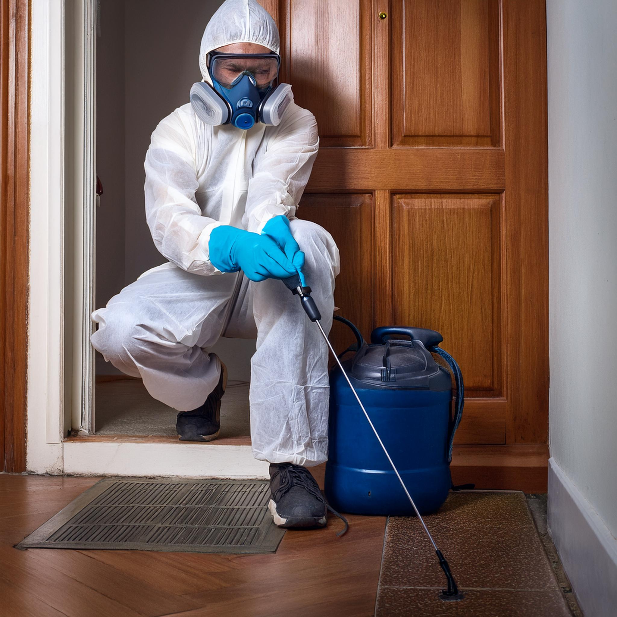 General Pest Control Mumbai