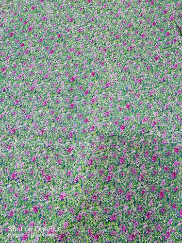 Multi-Color Poly Georgette Print Fabrics - Washable, Shrink-Resistant | Various Colors, Printed Georgette Texture for Textile Industry