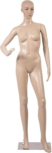 Female Mannequin - Age Group: Adults