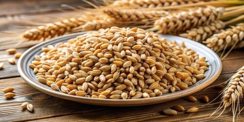 Wheat Grain