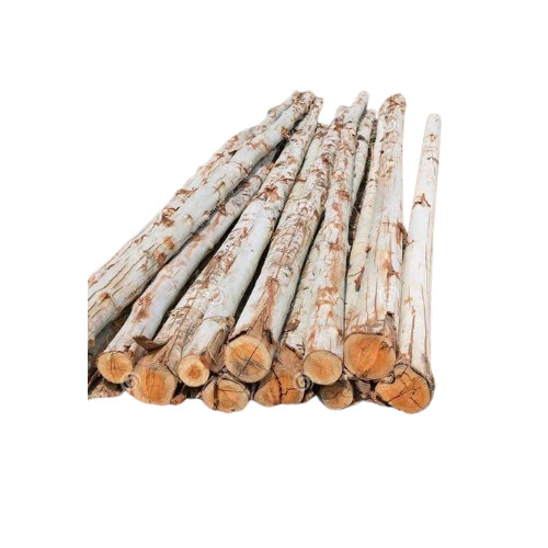 Eucalyptus Wood Logs