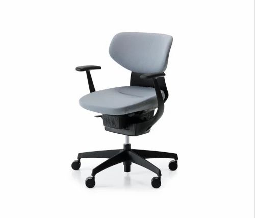 Low Back Computer Chair - Application: Na