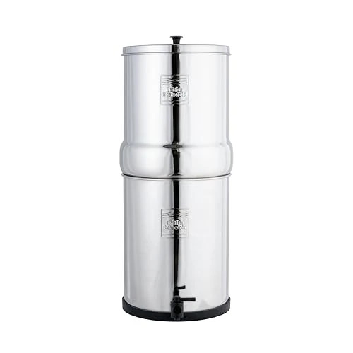 Stainless Steel Mineral Water Filter - Product Type: Forks