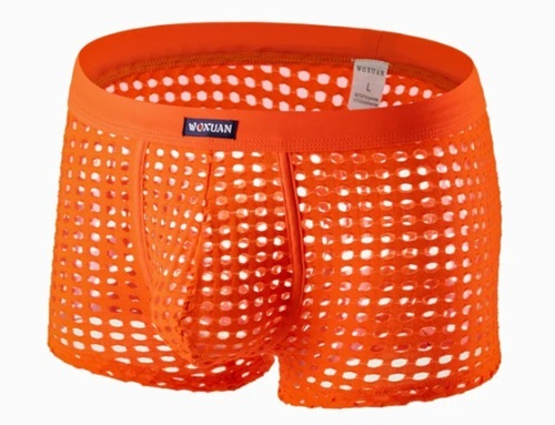 Mens Cut Mesh Hole Briefs