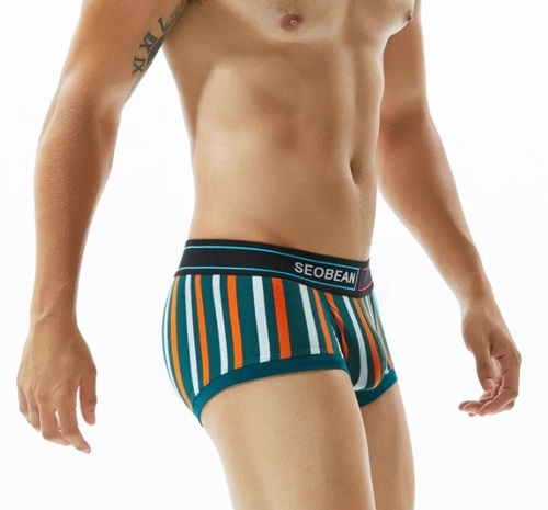 Mens Stripe Print Briefs